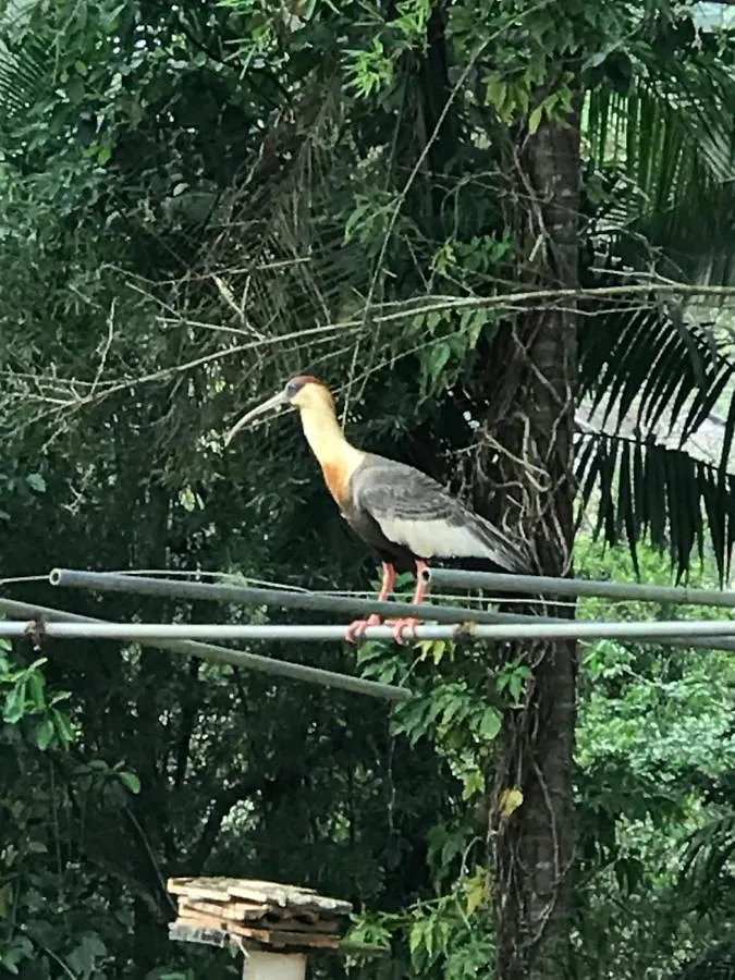 Dom wakacyjny Casa De Campo No Centro De Pomerode Brazylia